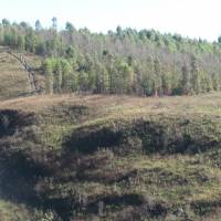 img_0302 copy